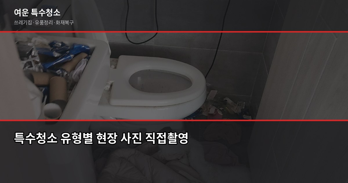 평택 특수청소 예약 전에 알아야 할 것들, 비용부터 절차까지 2
