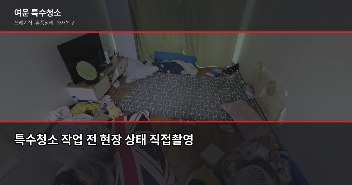 금천구 특수청소 전화번호, 연락 전에 알아두면 좋은 것들 2