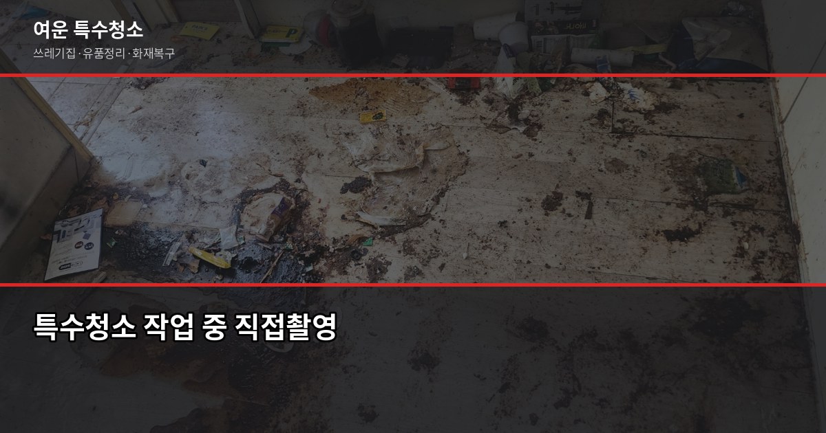 의정부시 특수청소 전문, 쓰레기집·고독사·유품정리 비용과 진행 방법 2