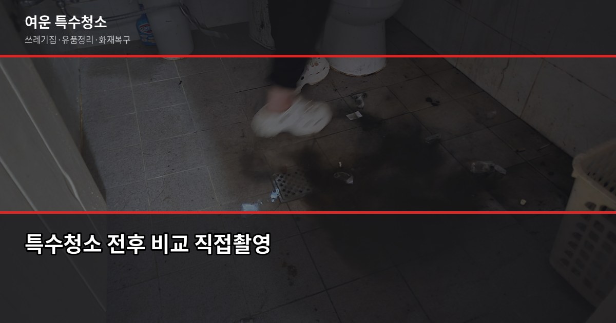 김포 특수청소 추천, 업체 고를 때 이것만 보세요 2