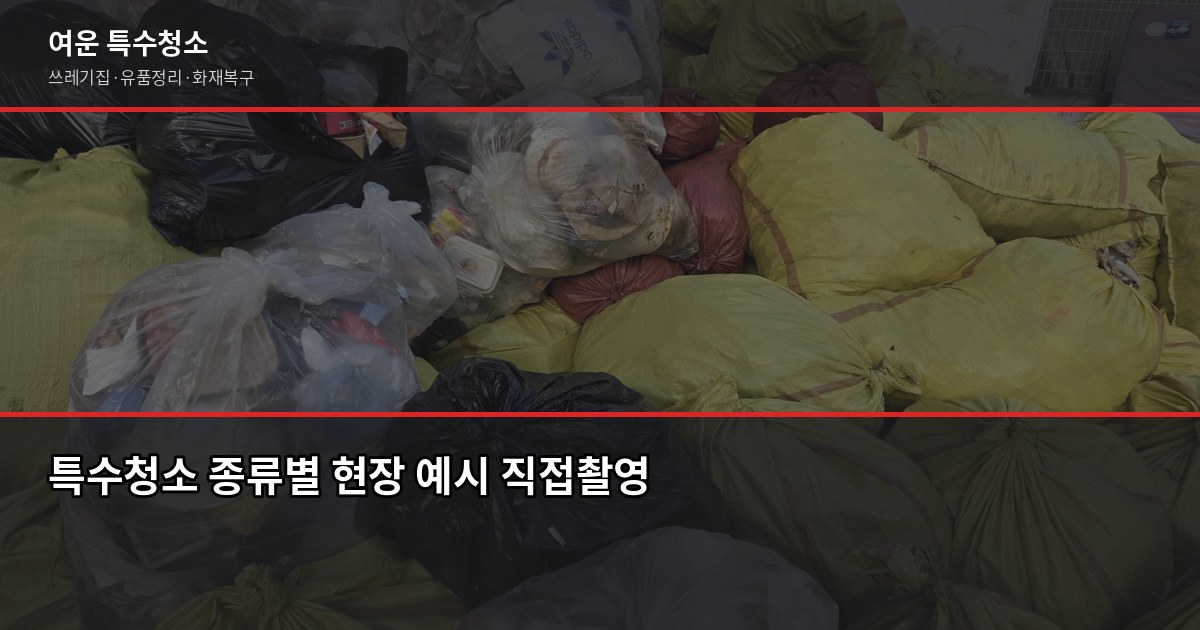 분당 특수청소 전화번호 찾기 전에 확인할 것들 2