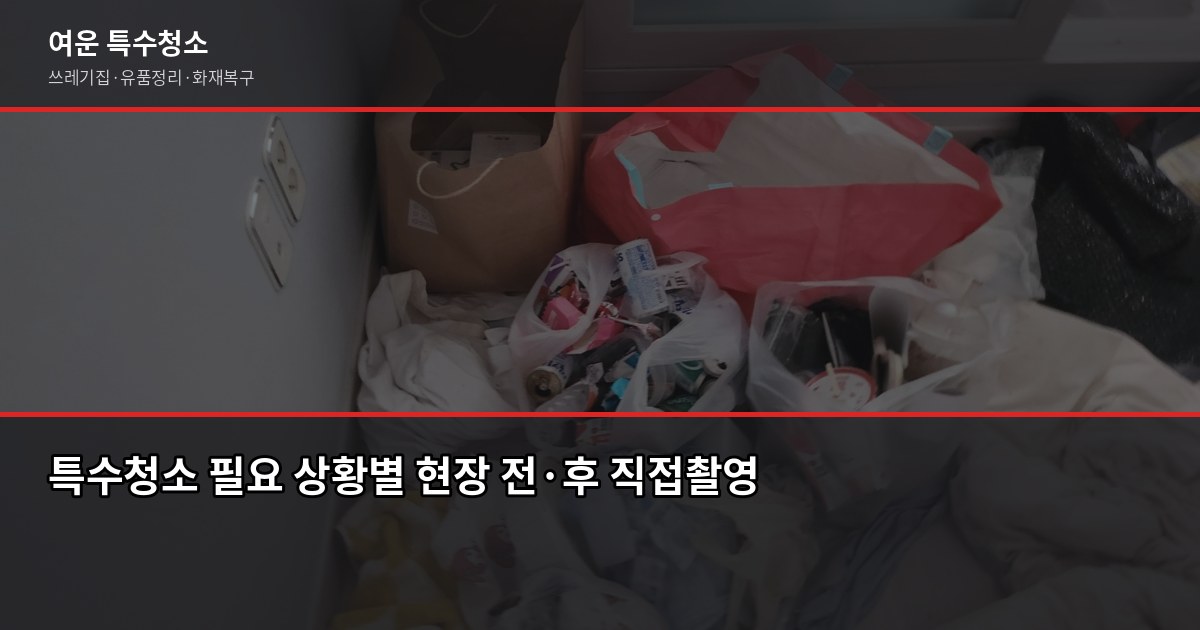 야탑역 특수청소 전화번호, 성남 분당 당일 출동 가능한 곳 찾는 법 2