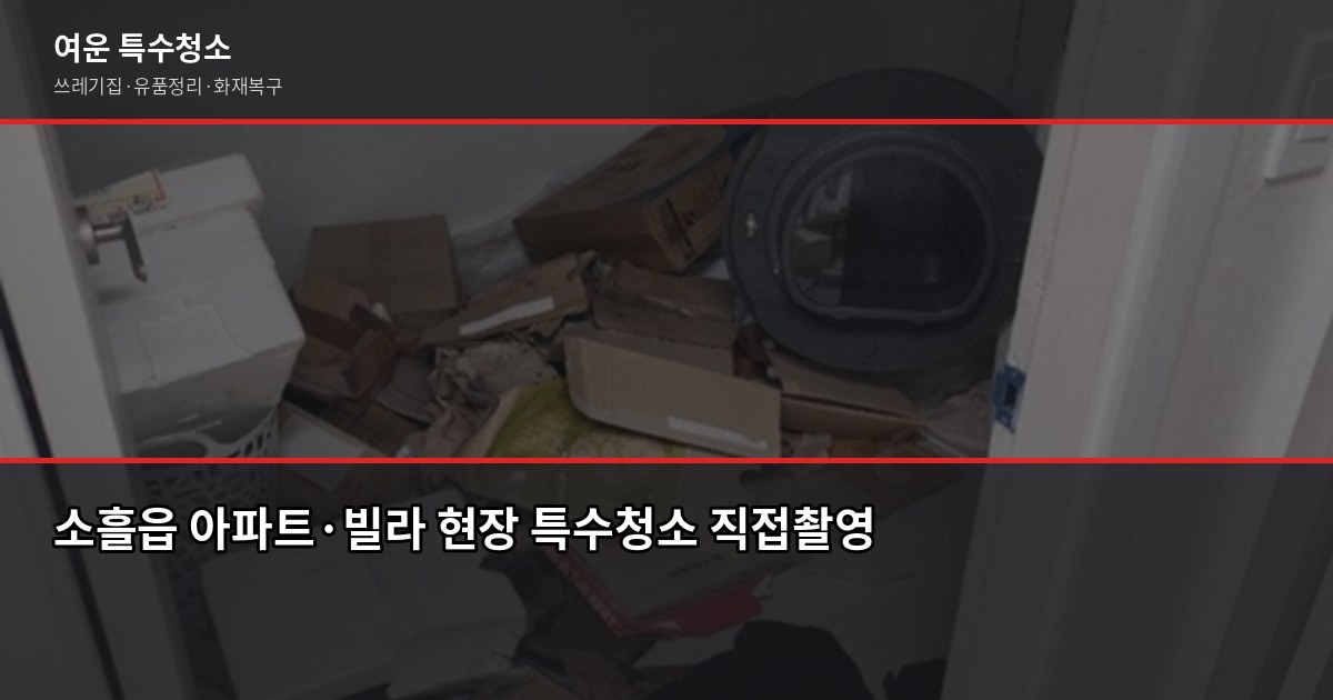 포천 소흘읍 특수청소 가격, 유형별로 얼마나 나올까 3