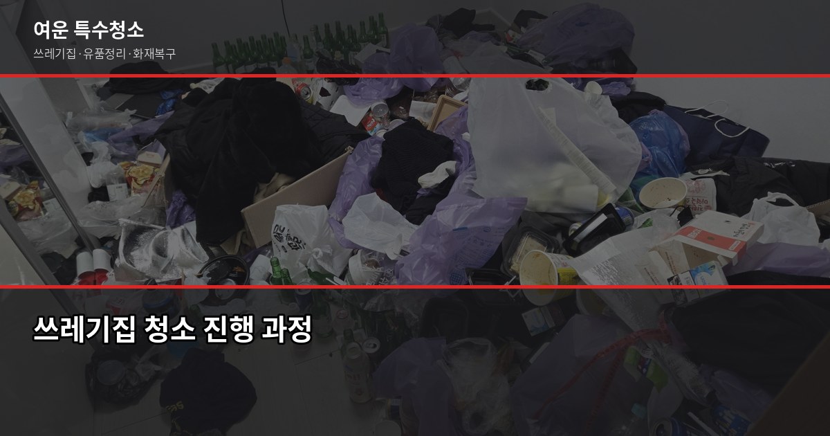 탄현역 쓰레기집 청소, 처음 연락부터 마무리까지 3
