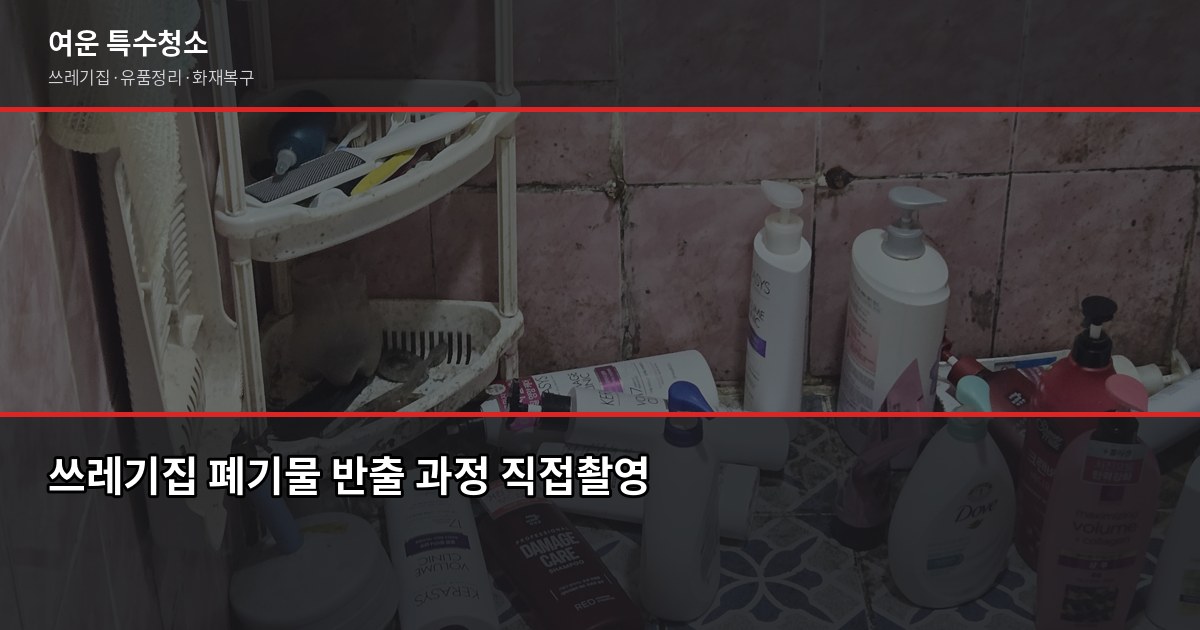 기흥구 쓰레기집 청소 비용과 업체 고르는 법, 후회 없으려면 3