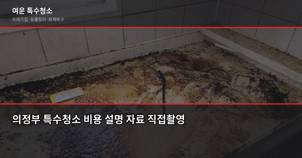 의정부시 특수청소 전문, 쓰레기집·고독사·유품정리 비용과 진행 방법 3