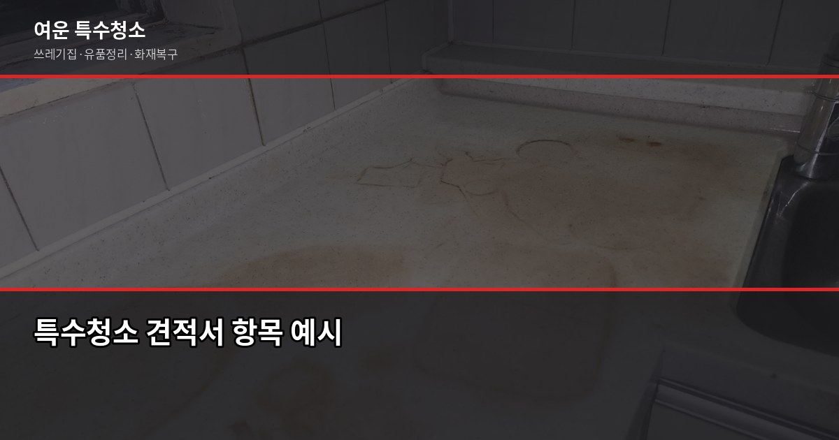 덕양구 특수청소 추천, 업체 고를 때 이것만 보면 됩니다 3