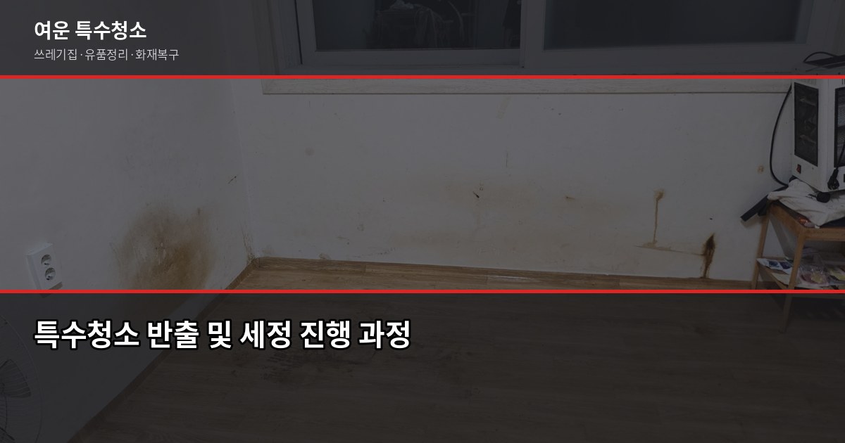 용산구 용종특수청소, 현장에서 본 실제 진행 과정과 비용 3