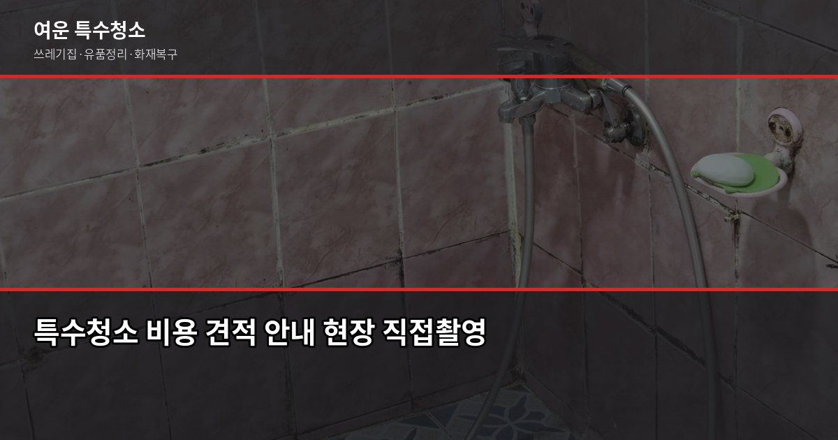 대전 특수청소 비용, 쓰레기집·고독사·화재복구 상황별 정리 3