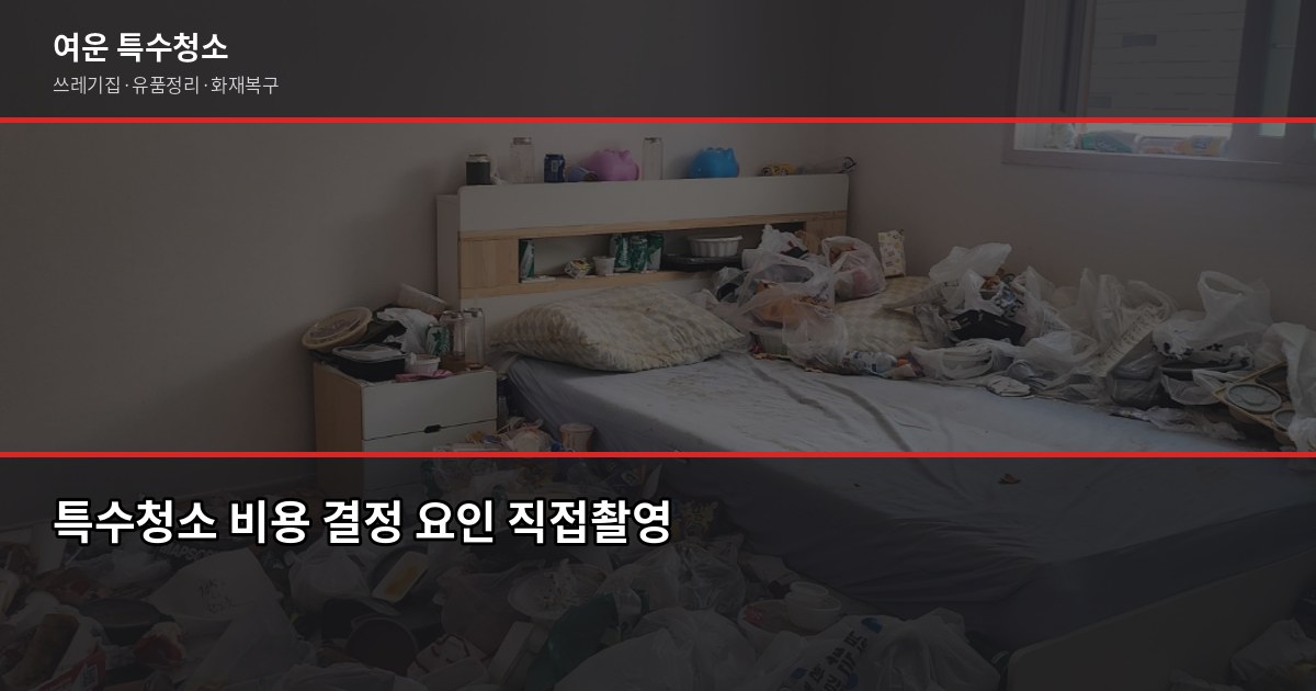 평택 특수청소 예약 전에 알아야 할 것들, 비용부터 절차까지 3