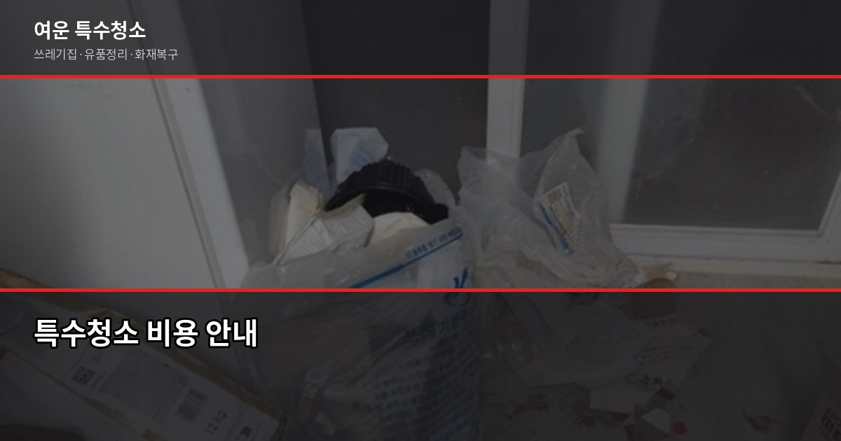 구리시 특수청소 추천, 쓰레기집·유품정리·고독사 현장 어떻게 다를까 3