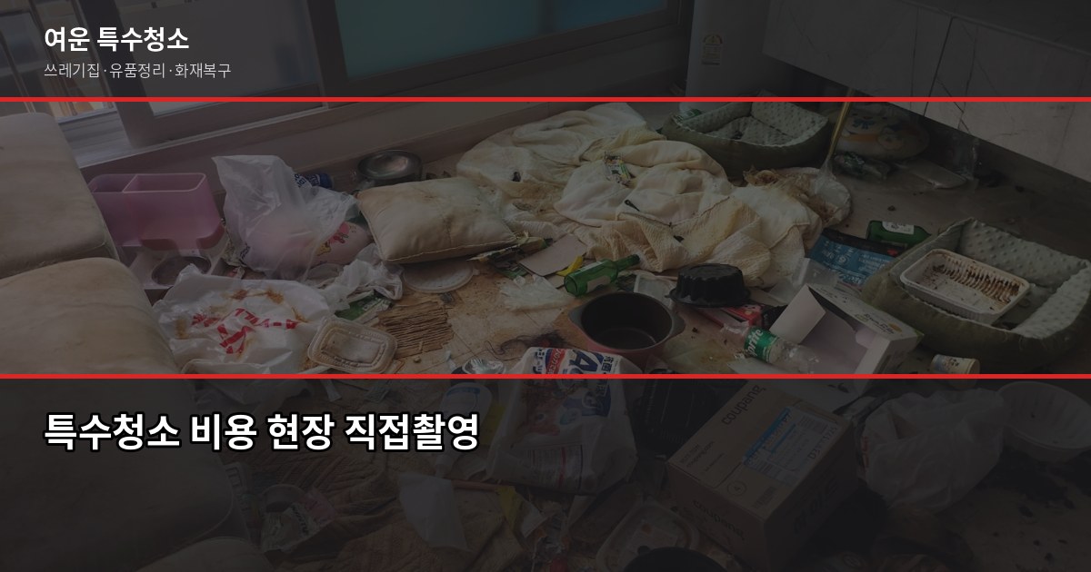 부평구 특수청소, 고독사·쓰레기집·유품정리 비용과 진행 방식 3