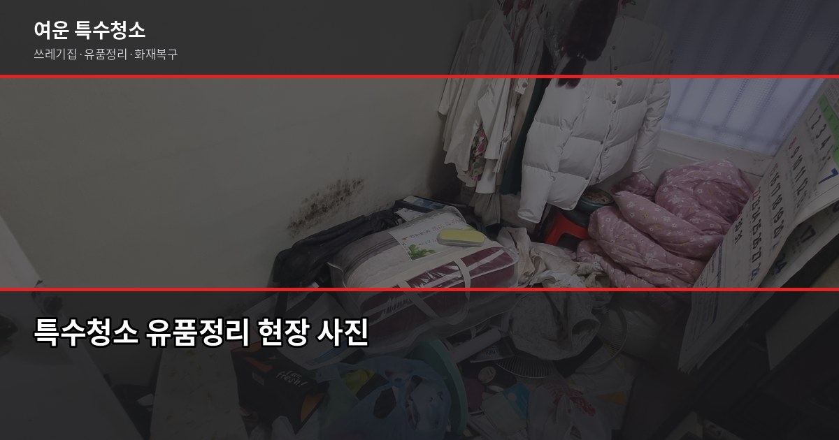 의정부 특수청소 예약, 당일 상담 가능한 방법과 절차 3