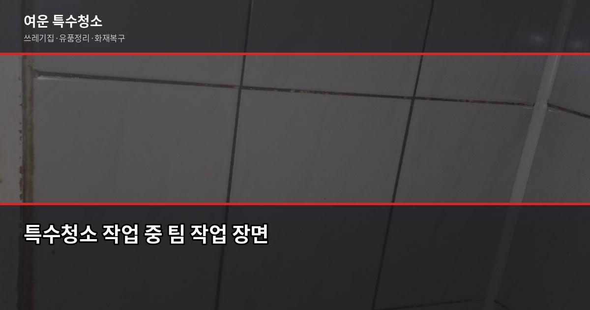 관악구 특수청소, 쓰레기집·고독사·유품정리 비용과 진행 과정 3