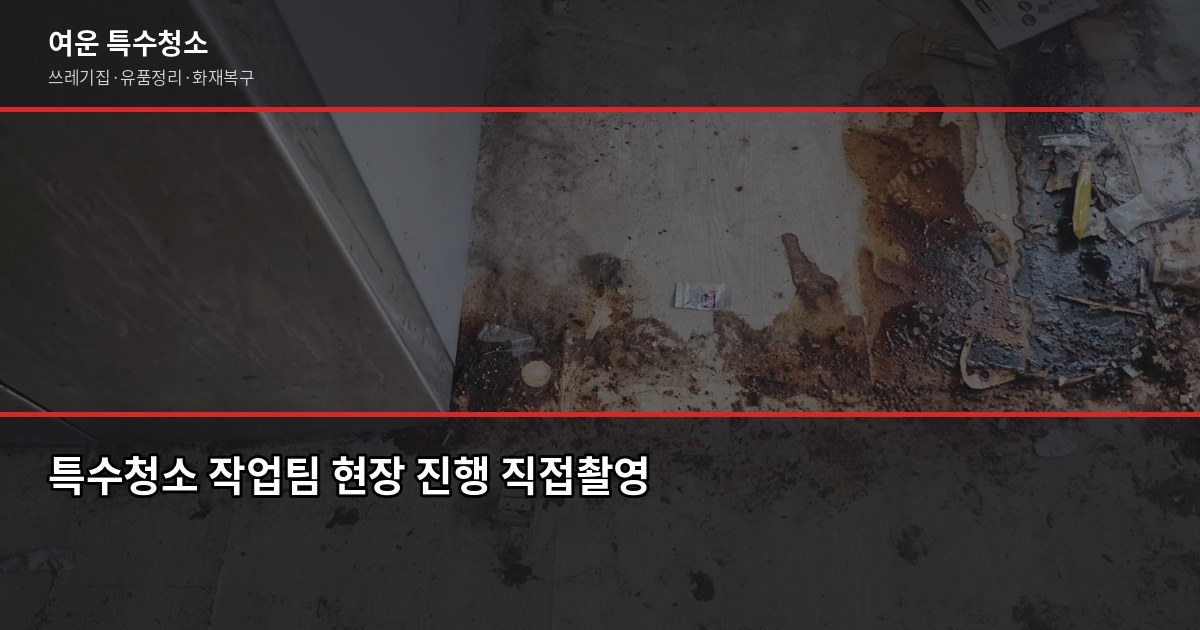 원미구 특수청소 추천, 쓰레기집·고독사·유품정리 업체 고르는 법 3