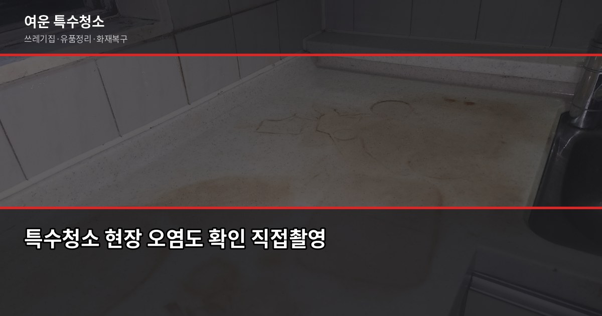 김포 특수청소, 쓰레기집·고독사·유품정리 비용과 진행 방법 3