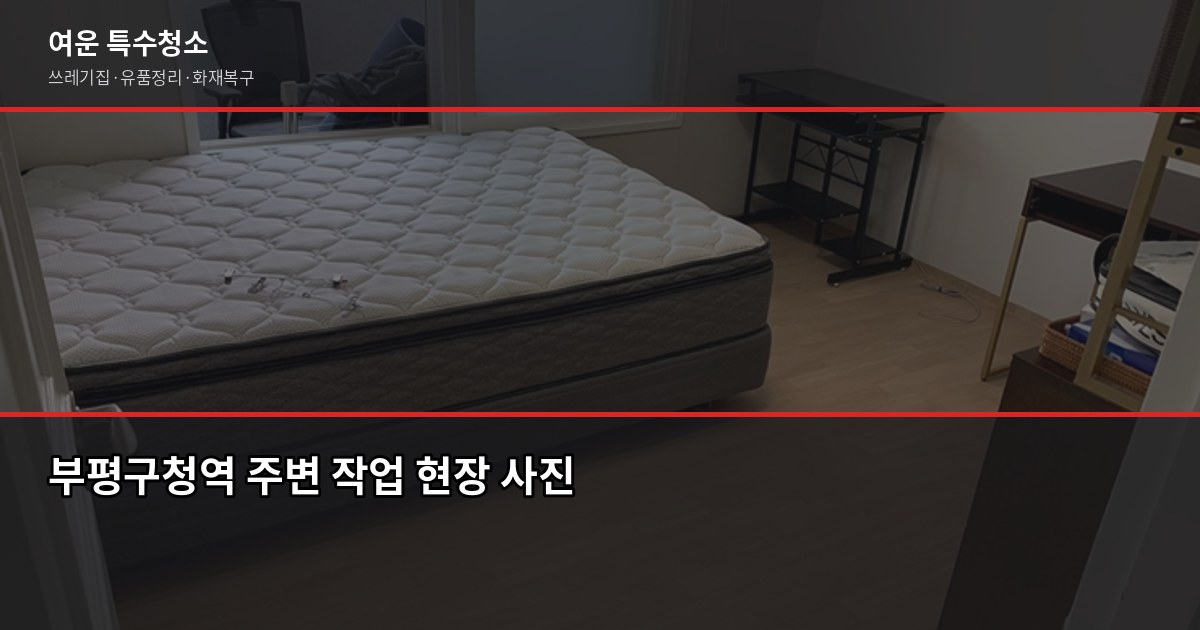 부평구청역 특수청소, 비용과 진행 과정 정리 4