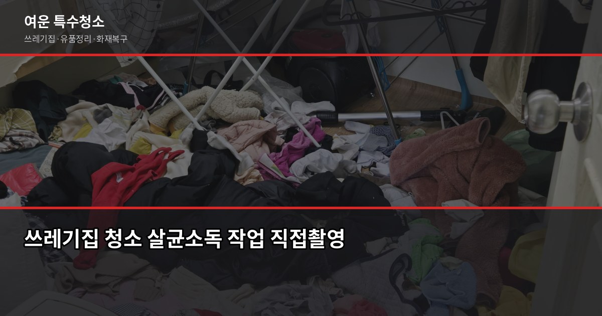 기흥구 쓰레기집 청소 비용과 업체 고르는 법, 후회 없으려면 4