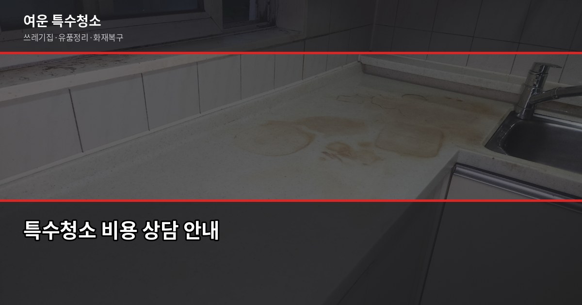 덕양구 특수청소 추천, 업체 고를 때 이것만 보면 됩니다 4