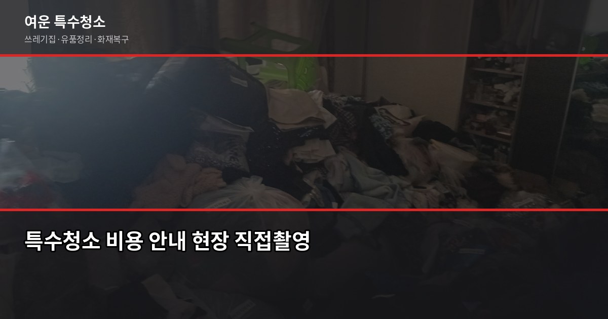 서울 특수청소 비용, 쓰레기집·고독사·유품정리 상황별 정리 4