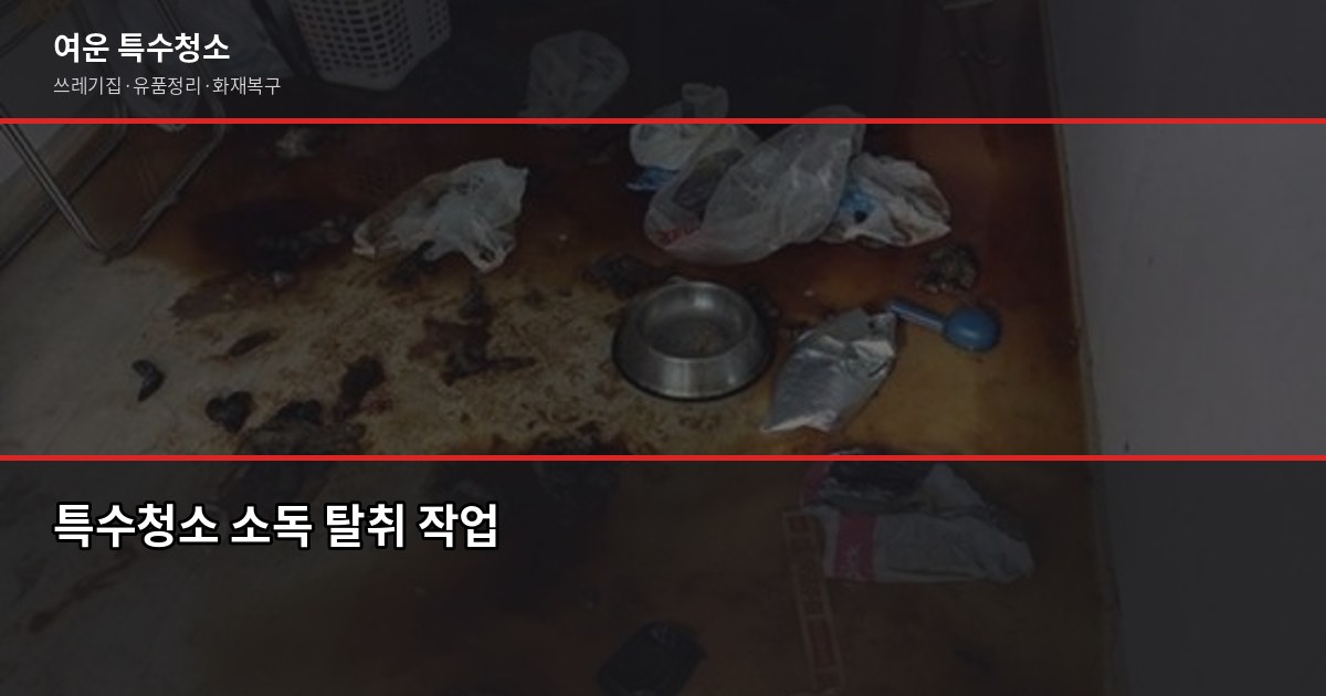 평택 특수청소 가격, 얼마부터 시작할까요? 4
