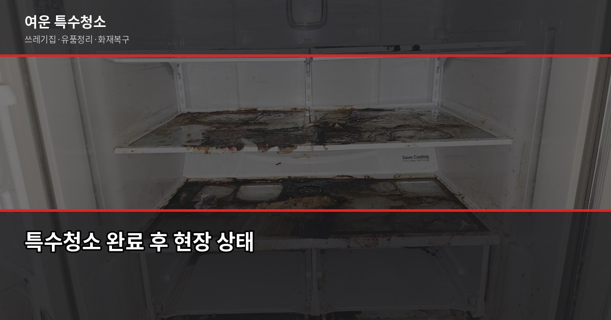 평택시 특수청소 전화번호와 상황별 대응 절차 4