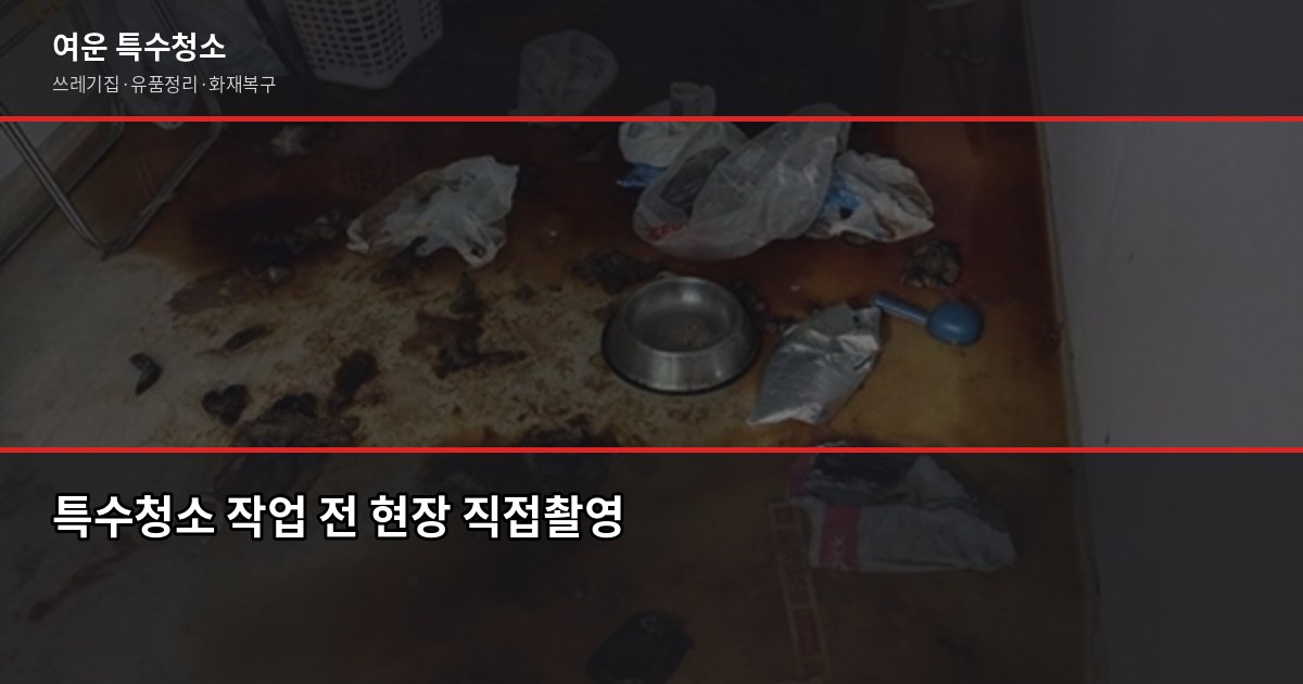 울산 폐기물 수거, 무료·유료 기준과 특수청소 연계까지 4