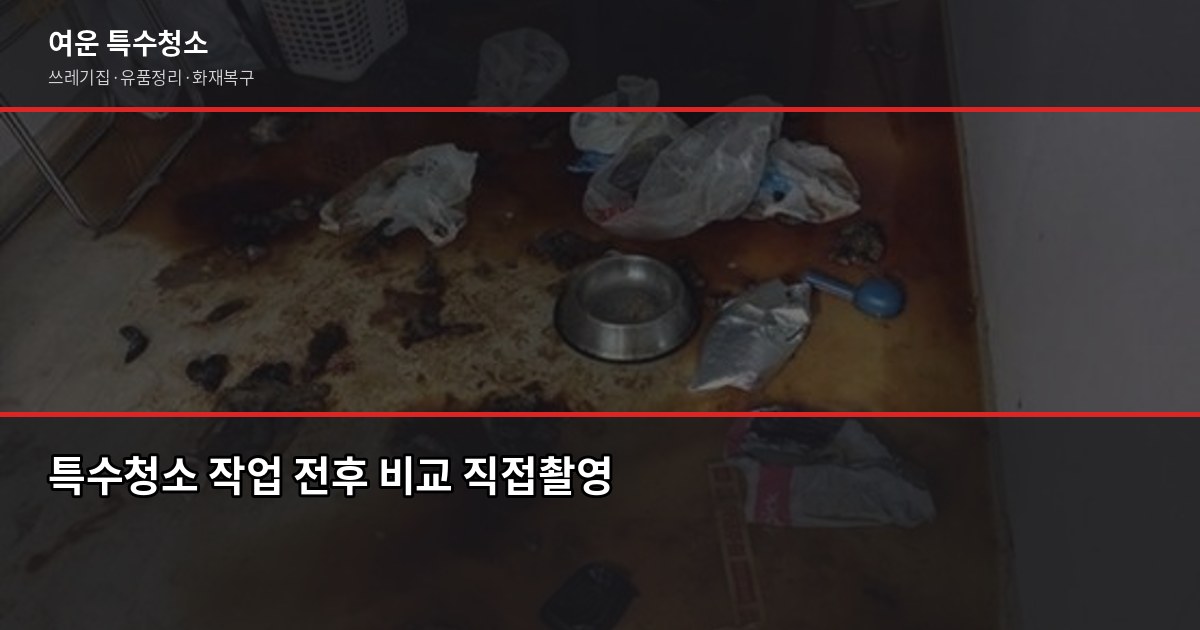 분당 특수청소 전화번호 찾기 전에 확인할 것들 4