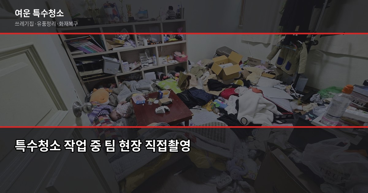 금천구 특수청소 전화번호, 연락 전에 알아두면 좋은 것들 4
