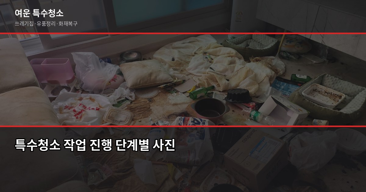 수원 특수청소 전화번호 안내 — 유형별 비용과 상담 전 확인사항 4