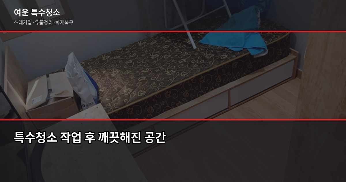 수원 특수청소 비용과 진행 방식, 처음이라면 이렇게 준비하세요 4