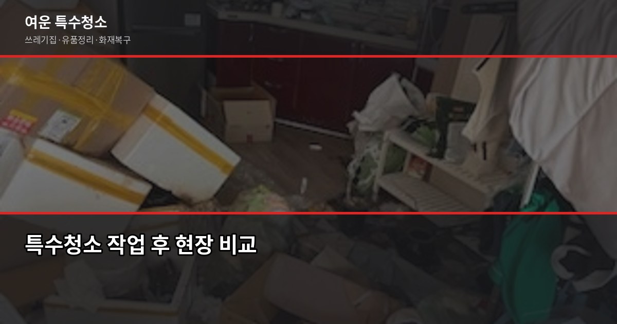 청천동 특수청소, 고독사·쓰레기집·유품정리 실제 진행 방식 4