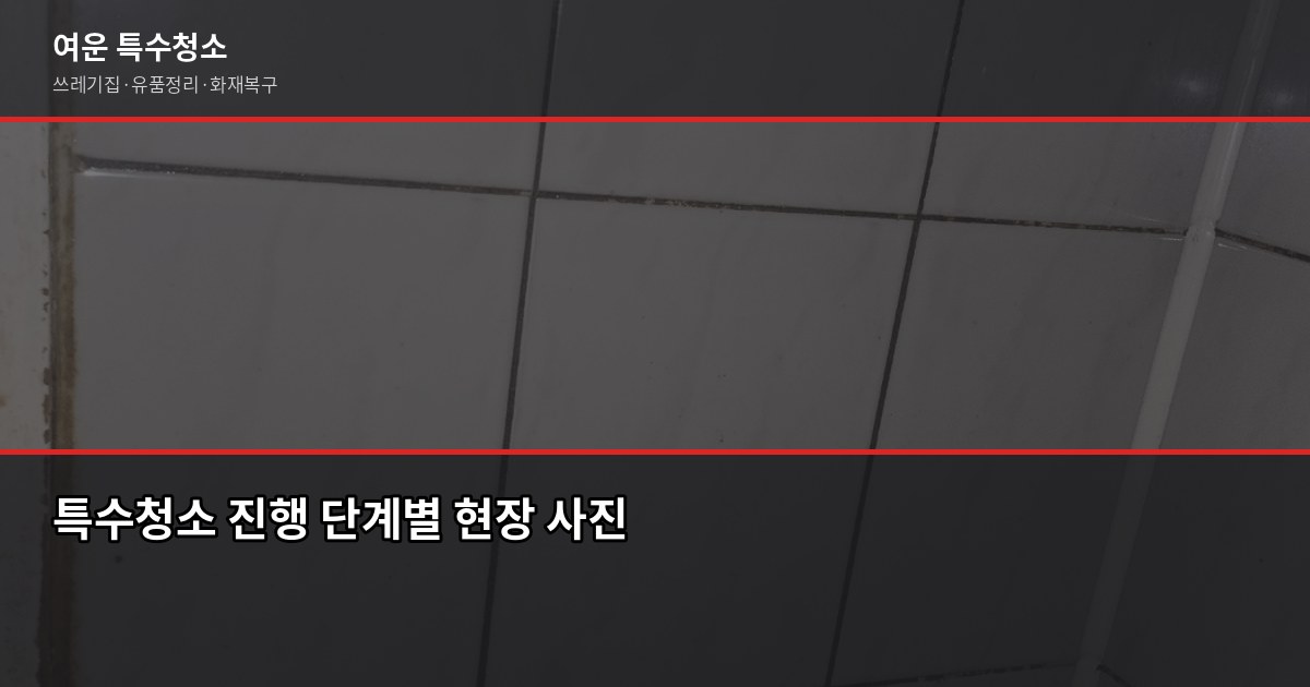 수지구청역 특수청소, 쓰레기집·고독사·유품정리 비용과 진행 과정 4