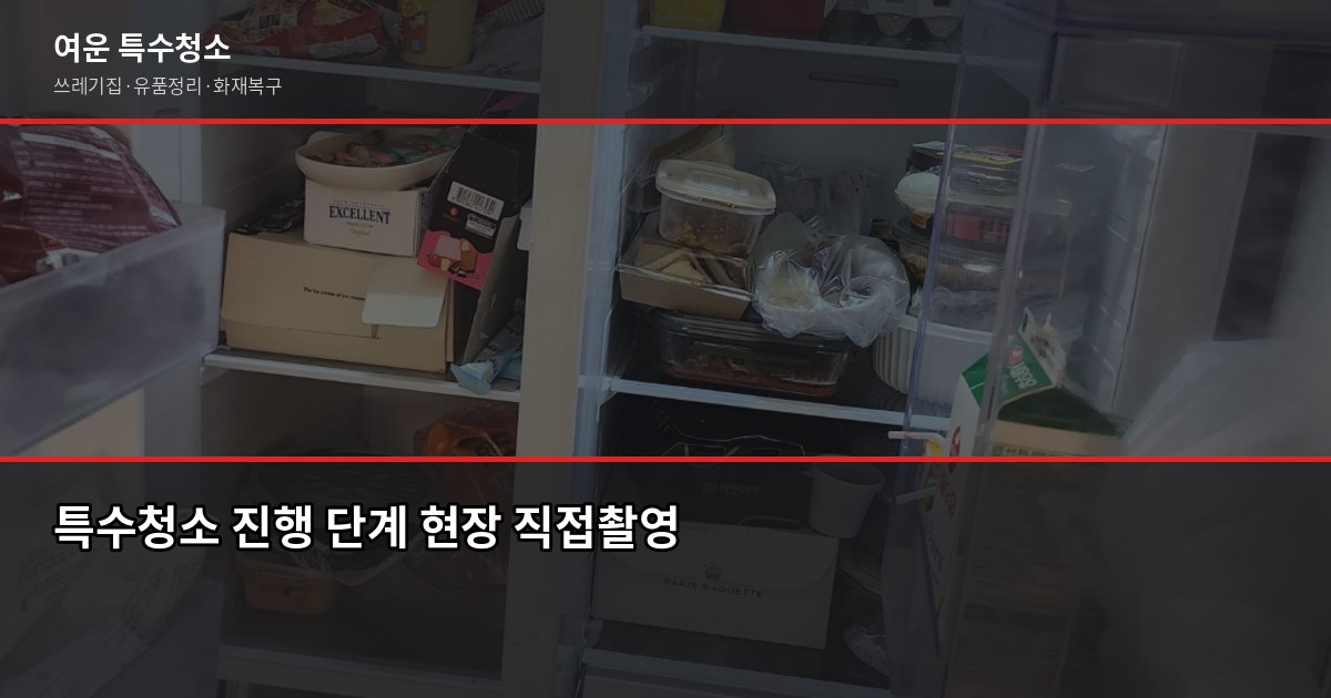 야탑역 특수청소 전화번호, 성남 분당 당일 출동 가능한 곳 찾는 법 4