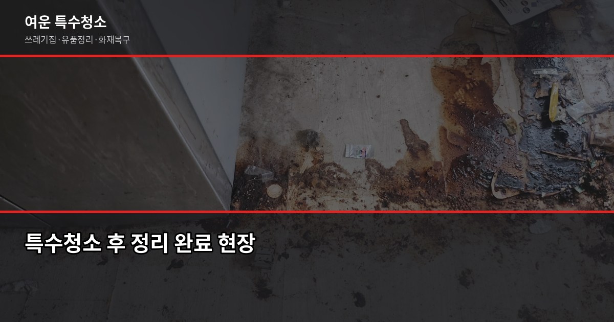 분당 특수청소 비용, 현장 상황별 정확한 견적 받는 법 4
