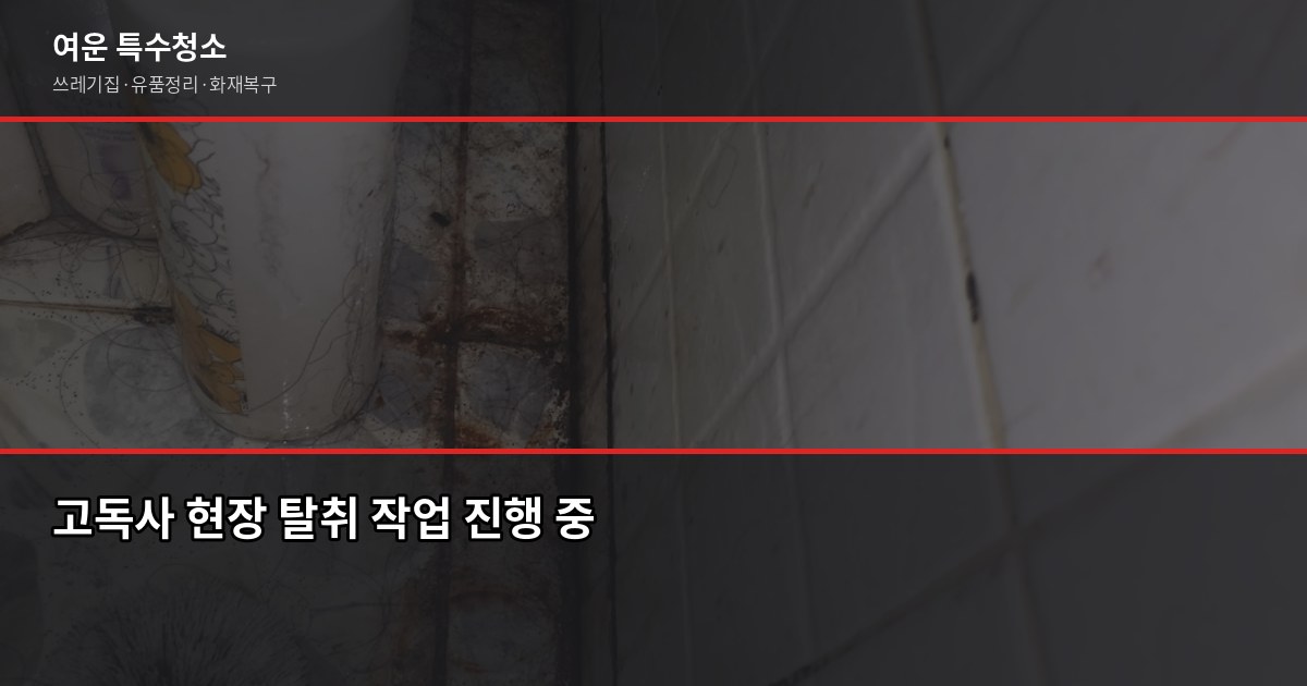 수지구 특수청소 예약, 어디서부터 시작해야 할까요 5