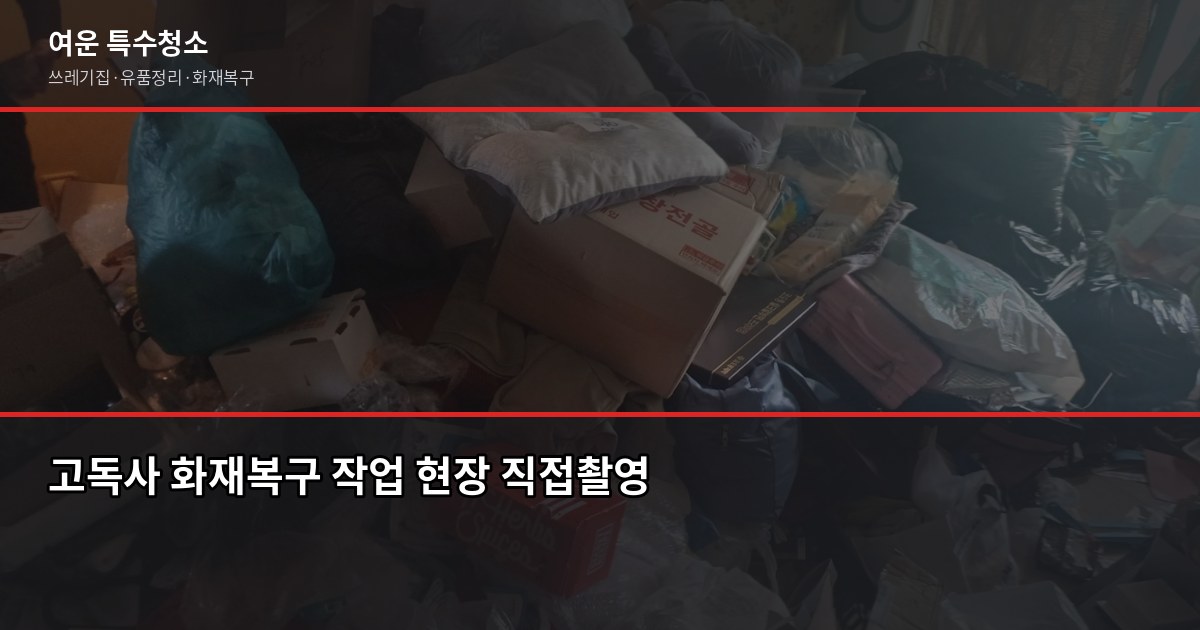 서울 특수청소 비용, 쓰레기집·고독사·유품정리 상황별 정리 5