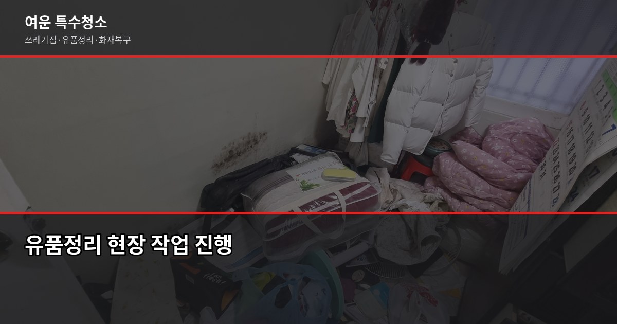 덕양구 특수청소 추천, 업체 고를 때 이것만 보면 됩니다 5
