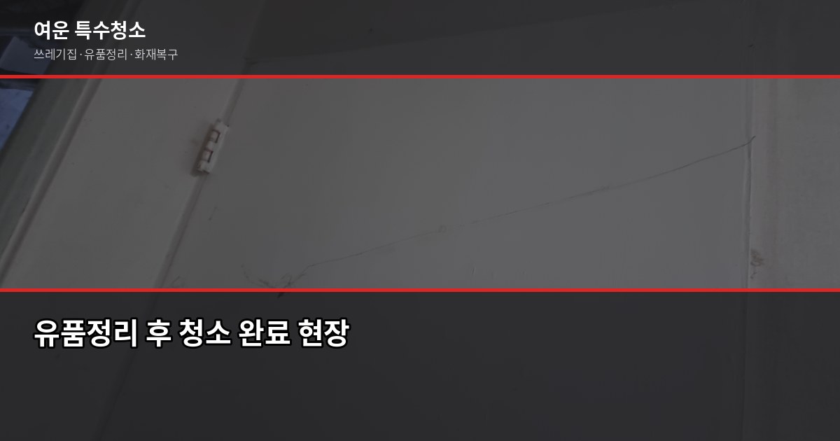 도봉구 특수청소 전화번호, 쓰레기집·고독사·유품정리 연락처 찾는 법 5