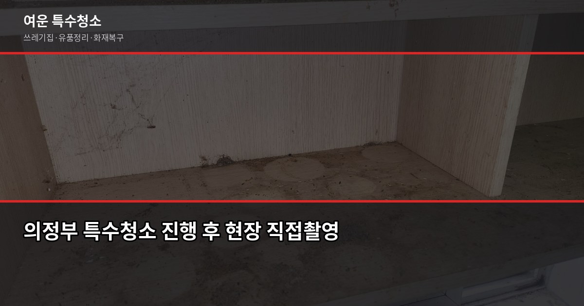 의정부시 특수청소 전문, 쓰레기집·고독사·유품정리 비용과 진행 방법 5