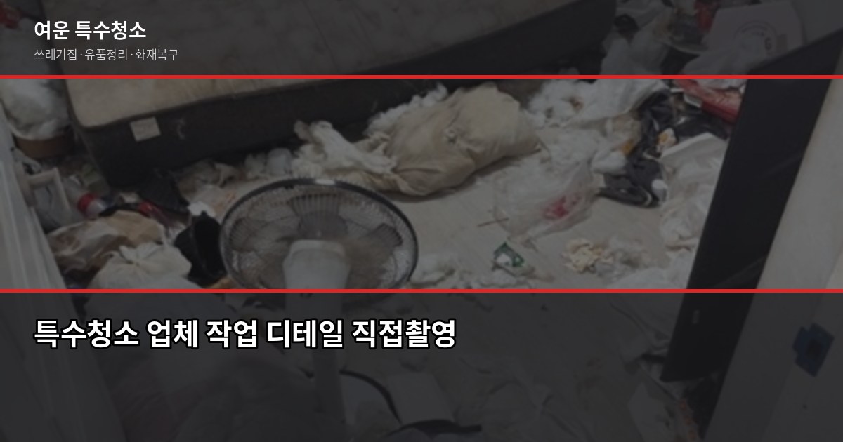 울산 폐기물 수거, 무료·유료 기준과 특수청소 연계까지 5