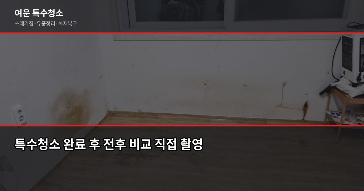 야탑역 특수청소 가격, 현장 상태에 따라 얼마나 다를까 5