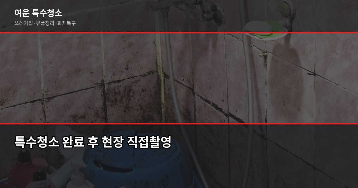 금천구 특수청소 전화번호, 연락 전에 알아두면 좋은 것들 5