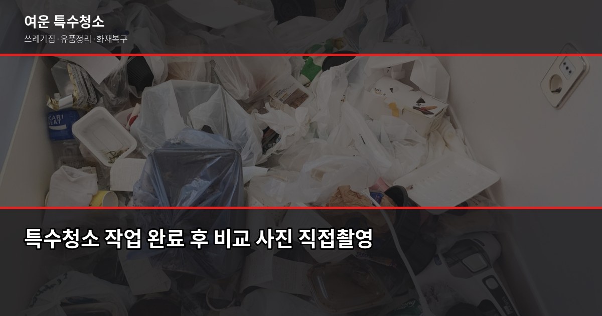 평택 특수청소 예약 전에 알아야 할 것들, 비용부터 절차까지 5