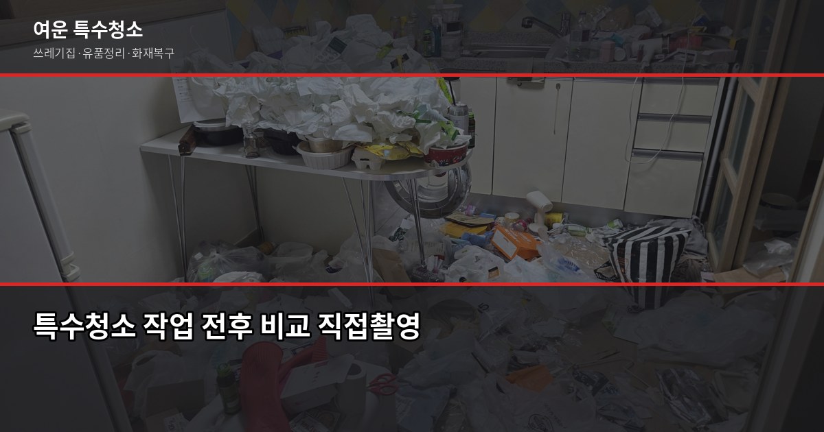부평구 특수청소, 고독사·쓰레기집·유품정리 비용과 진행 방식 5