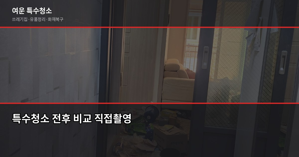 경기 특수청소 연락처, 업체 찾을 때 확인해야 할 것들 5