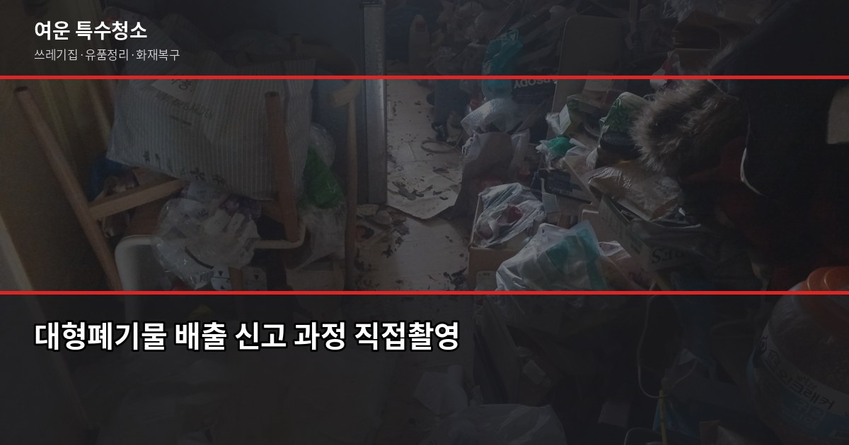 봉천동 쓰레기집청소 전화번호, 비용·절차·업체 고르는 법 6