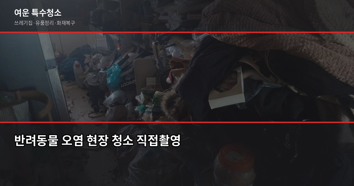 개포동 특수청소 비용, 현장 보기 전에는 아무도 모릅니다 6