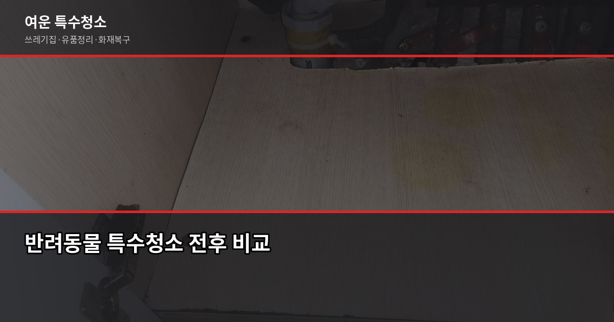 덕양구 특수청소 추천, 업체 고를 때 이것만 보면 됩니다 6