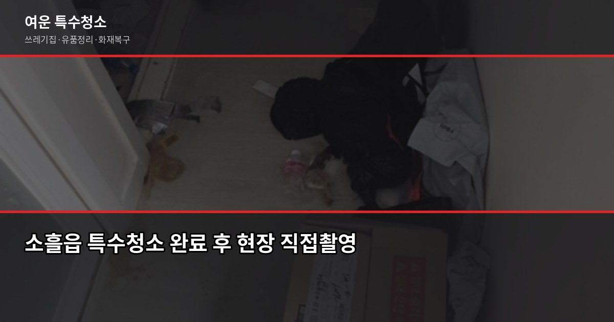 포천 소흘읍 특수청소 가격, 유형별로 얼마나 나올까 6